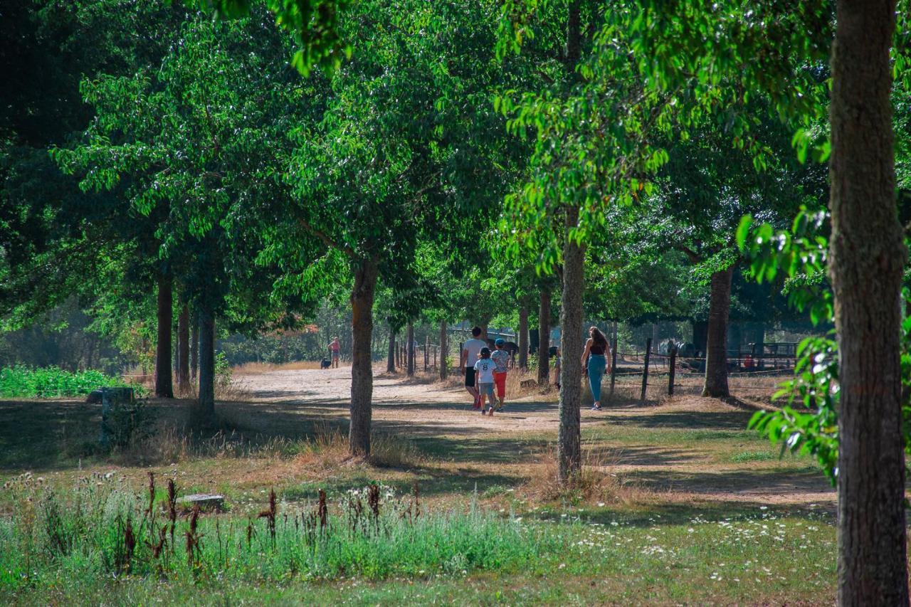 Village De Gites De La Foret De Ganigal Le Malzieu-Ville Luaran gambar